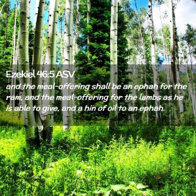 Picture 02 - Ezekiel 46:5 ASV - and the meal-offering shall be an ephah for the - Bible Verse Picture