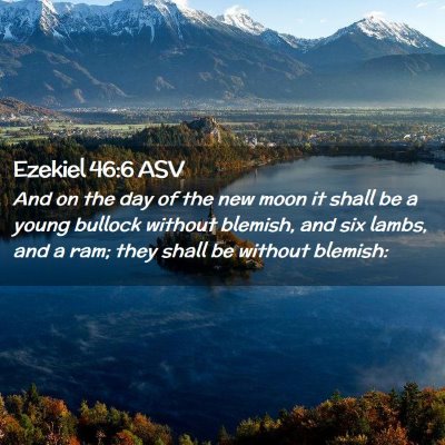 Picture 02 - Ezekiel 46:6 ASV - And on the day of the new moon it shall be a - Bible Verse Picture