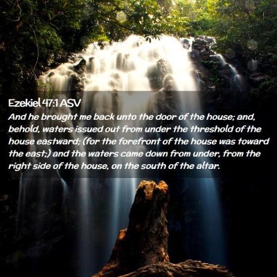 Picture 02 - Ezekiel 47:1 ASV - And he brought me back unto the door of the - Bible Verse Picture