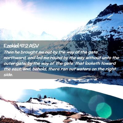 Picture 02 - Ezekiel 47:2 ASV - Then he brought me out by the way of the gate - Bible Verse Picture