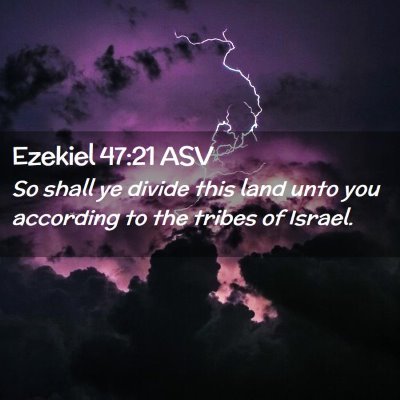 Picture 02 - Ezekiel 47:21 ASV - So shall ye divide this land unto you according - Bible Verse Picture
