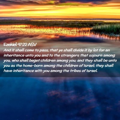 Picture 02 - Ezekiel 47:22 ASV - And it shall come to pass, that ye shall divide - Bible Verse Picture