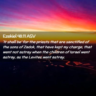 Picture 02 - Ezekiel 48:11 ASV - `It shall be' for the priests that are sanctified - Bible Verse Picture