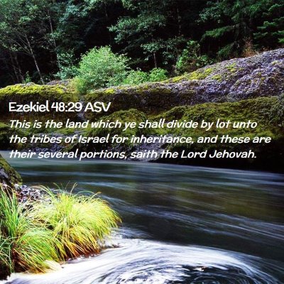 Picture 02 - Ezekiel 48:29 ASV - This is the land which ye shall divide by lot - Bible Verse Picture