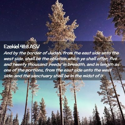 Picture 02 - Ezekiel 48:8 ASV - And by the border of Judah, from the east side - Bible Verse Picture