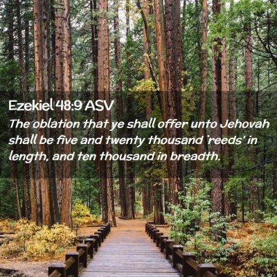 Picture 02 - Ezekiel 48:9 ASV - The oblation that ye shall offer unto Jehovah - Bible Verse Picture
