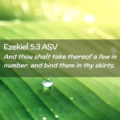 Picture 02 - Ezekiel 5:3 ASV - And thou shalt take thereof a few in number, and - Bible Verse Picture