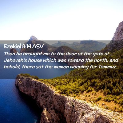 Picture 02 - Ezekiel 8:14 ASV - Then he brought me to the door of the gate of - Bible Verse Picture