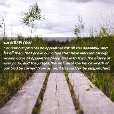 Picture 02 - Ezra 10:14 ASV - Let now our princes be appointed for all the - Bible Verse Picture