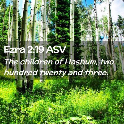 Picture 02 - Ezra 2:19 ASV - The children of Hashum, two hundred twenty and - Bible Verse Picture