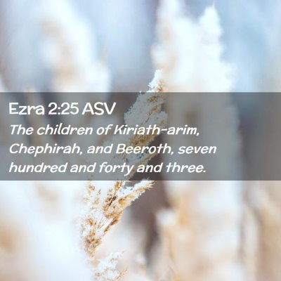 Picture 02 - Ezra 2:25 ASV - The children of Kiriath-arim, Chephirah, and - Bible Verse Picture