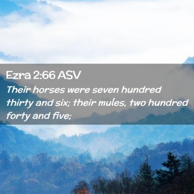 Picture 02 - Ezra 2:66 ASV - Their horses were seven hundred thirty and six; - Bible Verse Picture