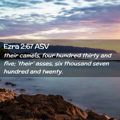 Picture 02 - Ezra 2:67 ASV - their camels, four hundred thirty and five; - Bible Verse Picture