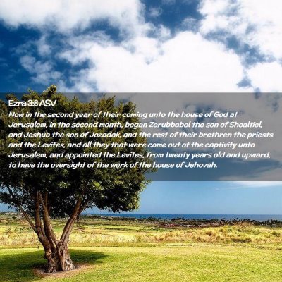 Picture 02 - Ezra 3:8 ASV - Now in the second year of their coming unto the - Bible Verse Picture