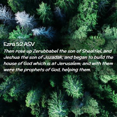 Picture 02 - Ezra 5:2 ASV - Then rose up Zerubbabel the son of Shealtiel, and - Bible Verse Picture