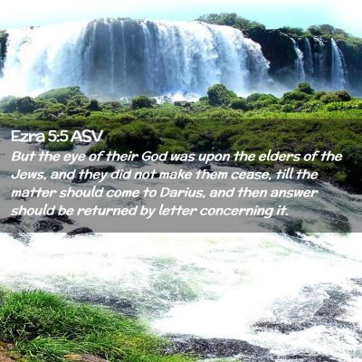 Picture 02 - Ezra 5:5 ASV - But the eye of their God was upon the elders of - Bible Verse Picture
