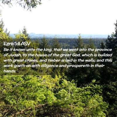 Picture 02 - Ezra 5:8 ASV - Be it known unto the king, that we went into the - Bible Verse Picture