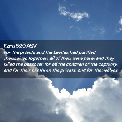 Picture 02 - Ezra 6:20 ASV - For the priests and the Levites had purified - Bible Verse Picture