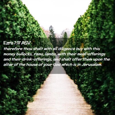 Picture 02 - Ezra 7:17 ASV - therefore thou shalt with all diligence buy with - Bible Verse Picture