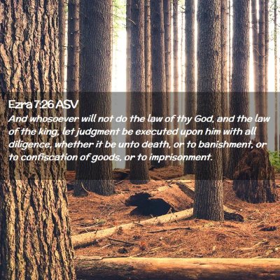Picture 02 - Ezra 7:26 ASV - And whosoever will not do the law of thy God, and - Bible Verse Picture