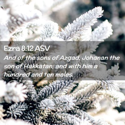 Picture 02 - Ezra 8:12 ASV - And of the sons of Azgad, Johanan the son of - Bible Verse Picture
