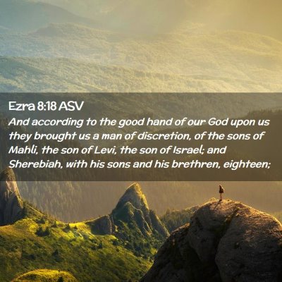 Picture 02 - Ezra 8:18 ASV - And according to the good hand of our God upon us - Bible Verse Picture