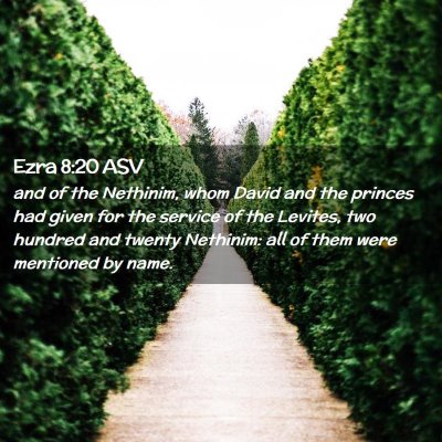 Picture 02 - Ezra 8:20 ASV - and of the Nethinim, whom David and the princes - Bible Verse Picture