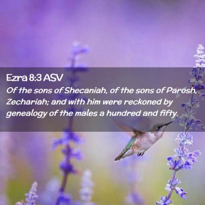 Picture 02 - Ezra 8:3 ASV - Of the sons of Shecaniah, of the sons of Parosh, - Bible Verse Picture