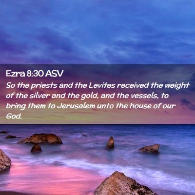 Picture 02 - Ezra 8:30 ASV - So the priests and the Levites received the - Bible Verse Picture