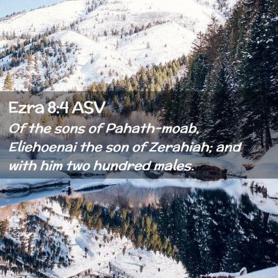 Picture 02 - Ezra 8:4 ASV - Of the sons of Pahath-moab, Eliehoenai the son of - Bible Verse Picture