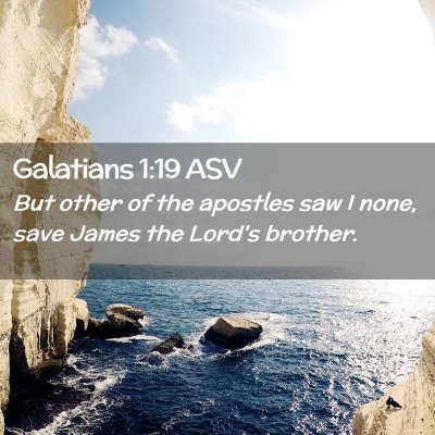 Picture 02 - Galatians 1:19 ASV - But other of the apostles saw I none, save James - Bible Verse Picture