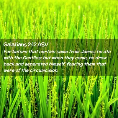 Picture 02 - Galatians 2:12 ASV - For before that certain came from James, he ate - Bible Verse Picture