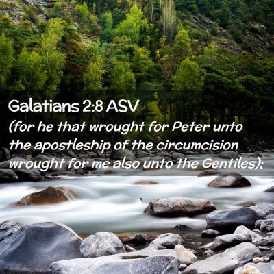 Picture 02 - Galatians 2:8 ASV - (for he that wrought for Peter unto the - Bible Verse Picture