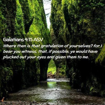 Picture 02 - Galatians 4:15 ASV - Where then is that gratulation of yourselves? for - Bible Verse Picture