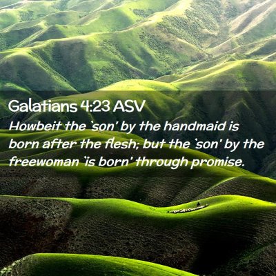 Picture 02 - Galatians 4:23 ASV - Howbeit the `son' by the handmaid is born after - Bible Verse Picture