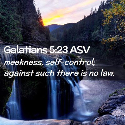 Picture 02 - Galatians 5:23 ASV - meekness, self-control; against such there is no - Bible Verse Picture