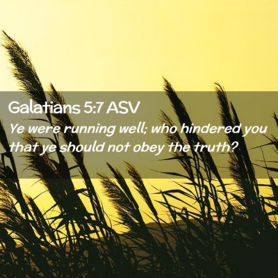 Picture 02 - Galatians 5:7 ASV - Ye were running well; who hindered you that ye - Bible Verse Picture
