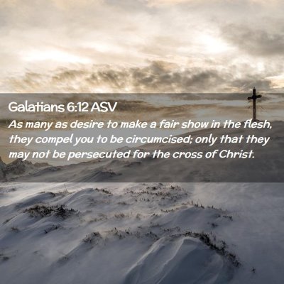 Picture 02 - Galatians 6:12 ASV - As many as desire to make a fair show in the - Bible Verse Picture