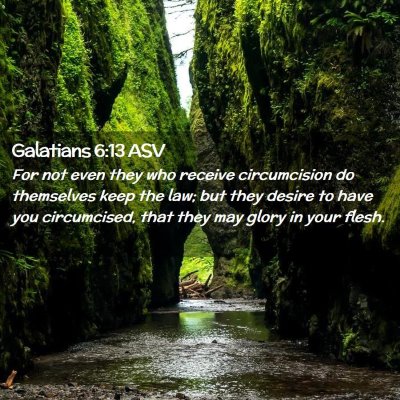 Picture 02 - Galatians 6:13 ASV - For not even they who receive circumcision do - Bible Verse Picture