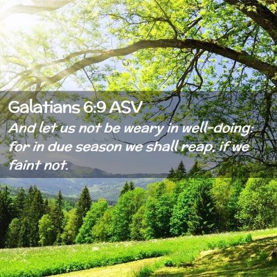 Picture 02 - Galatians 6:9 ASV - And let us not be weary in well-doing: for in due - Bible Verse Picture