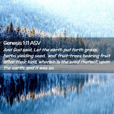 Picture 02 - Genesis 1:11 ASV - And God said, Let the earth put forth grass, - Bible Verse Picture