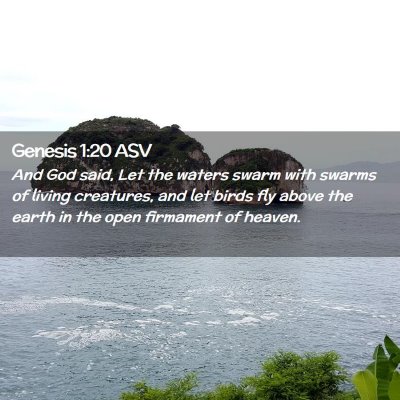 Picture 02 - Genesis 1:20 ASV - And God said, Let the waters swarm with swarms of - Bible Verse Picture