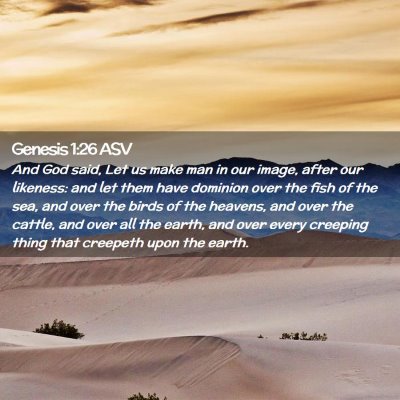 Picture 02 - Genesis 1:26 ASV - And God said, Let us make man in our image, after - Bible Verse Picture