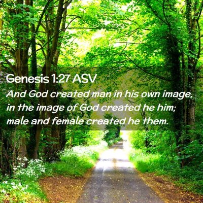 Picture 02 - Genesis 1:27 ASV - And God created man in his own image, in the - Bible Verse Picture