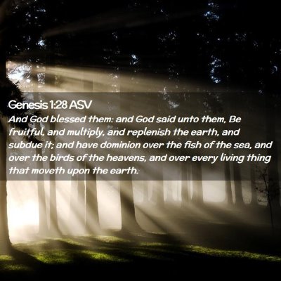 Picture 02 - Genesis 1:28 ASV - And God blessed them: and God said unto them, Be - Bible Verse Picture