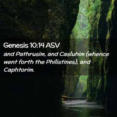 Picture 02 - Genesis 10:14 ASV - and Pathrusim, and Casluhim (whence went forth - Bible Verse Picture