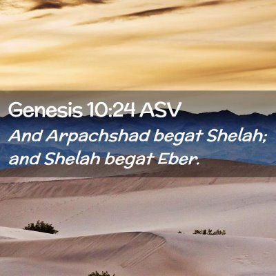 Picture 02 - Genesis 10:24 ASV - And Arpachshad begat Shelah; and Shelah begat - Bible Verse Picture