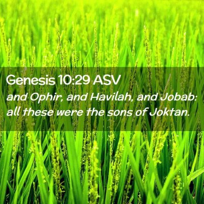 Picture 02 - Genesis 10:29 ASV - and Ophir, and Havilah, and Jobab: all these were - Bible Verse Picture