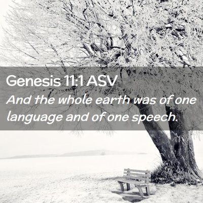 Picture 02 - Genesis 11:1 ASV - And the whole earth was of one language and of - Bible Verse Picture