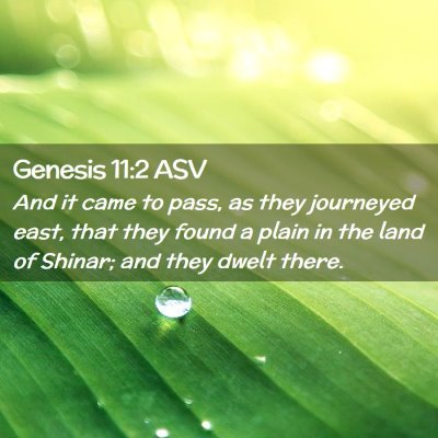 Picture 02 - Genesis 11:2 ASV - And it came to pass, as they journeyed east, that - Bible Verse Picture